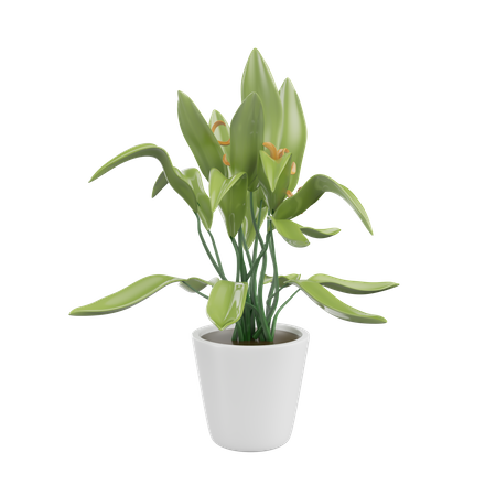 House Plant  3D Icon