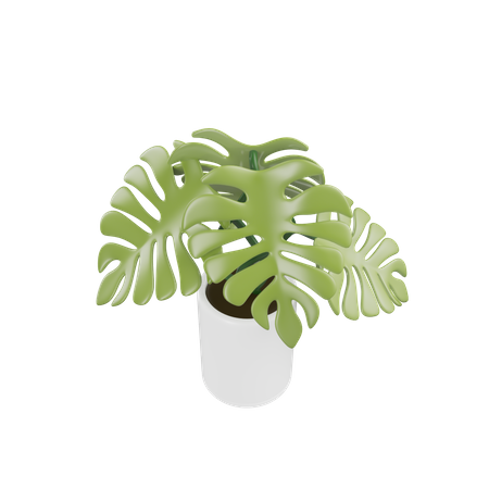 House Plant  3D Icon