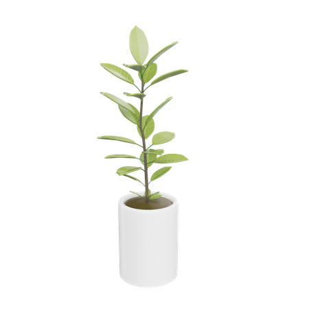 House Plant  3D Icon