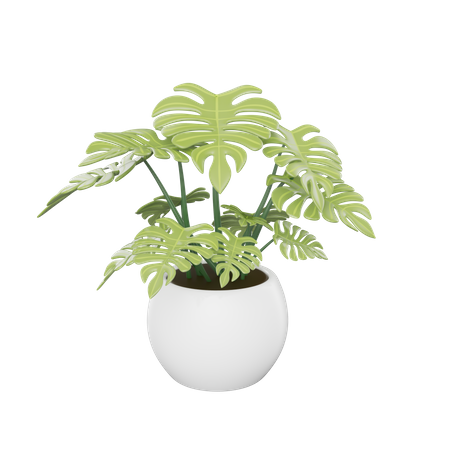 House Plant  3D Icon