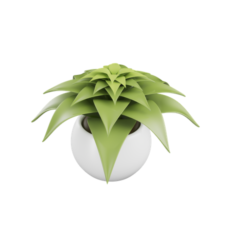 House Plant  3D Icon