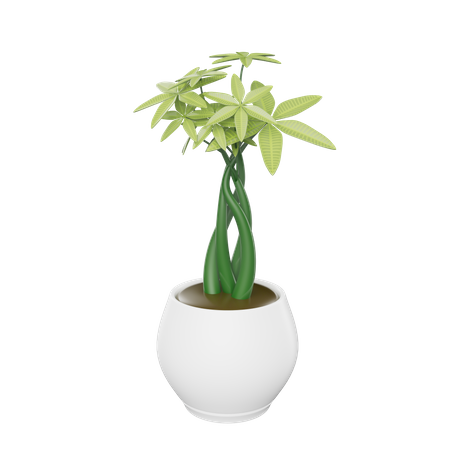 House Plant  3D Icon