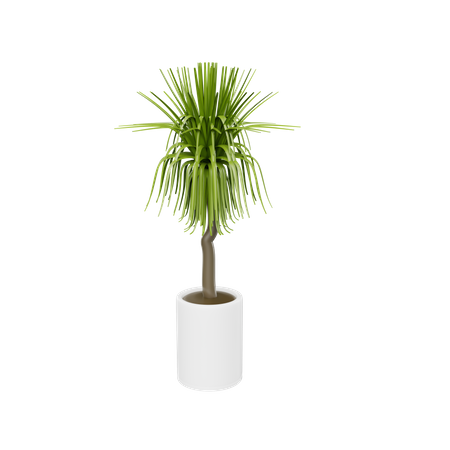 House Plant  3D Icon