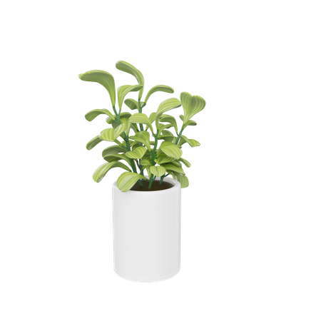 House Plant  3D Icon