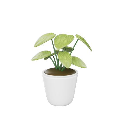 House Plant  3D Icon