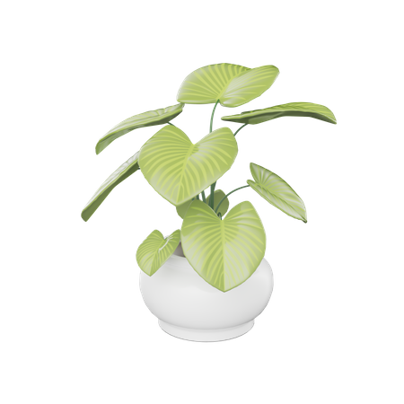 House Plant  3D Icon