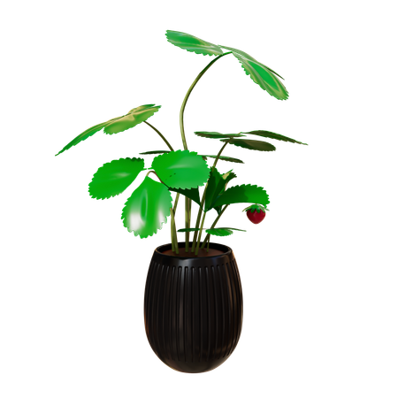 House Plant  3D Icon
