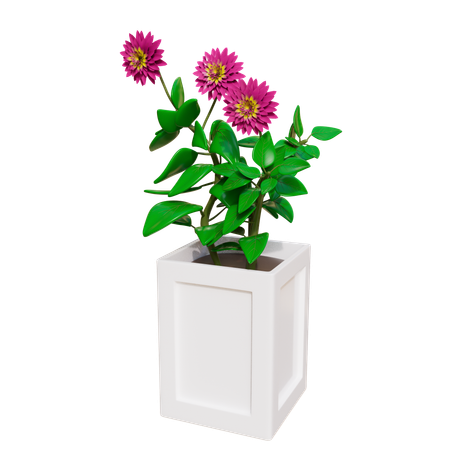House Plant  3D Icon