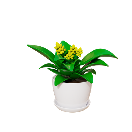 House Plant  3D Icon