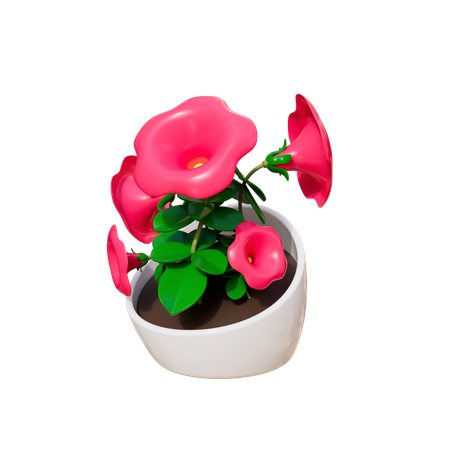House Plant  3D Icon