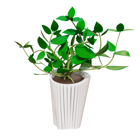 House Plant  3D Icon