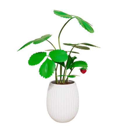 House Plant  3D Icon