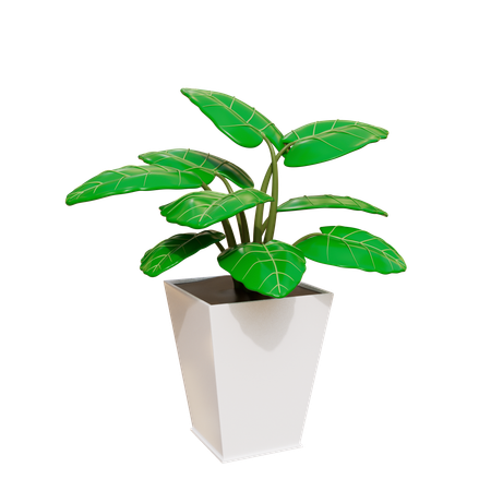 House Plant  3D Icon
