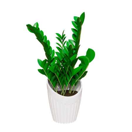 House Plant  3D Icon