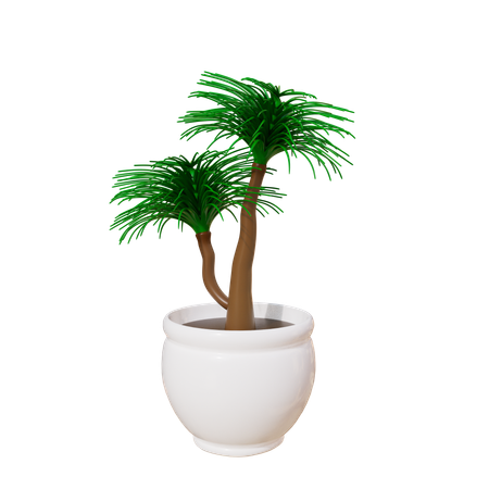 House Plant  3D Icon