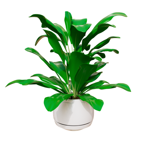 House Plant  3D Icon