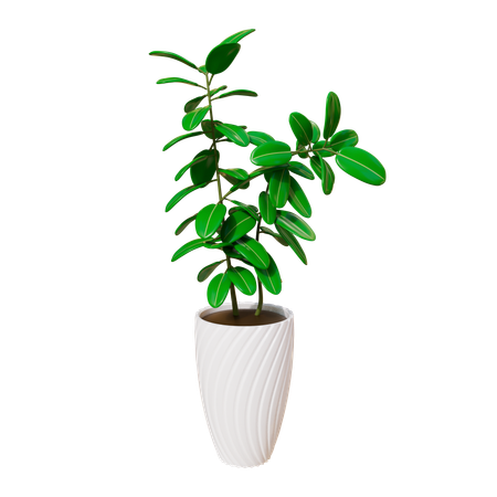 House Plant  3D Icon
