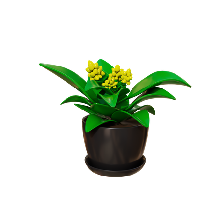 House Plant  3D Icon