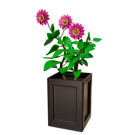 House Plant  3D Icon