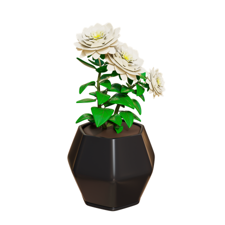 House Plant  3D Icon
