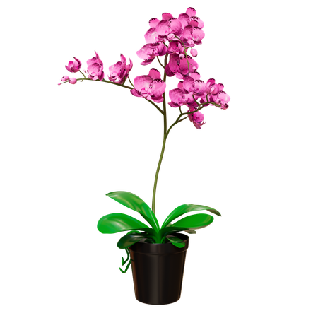 House Plant  3D Icon