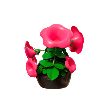 House Plant  3D Icon