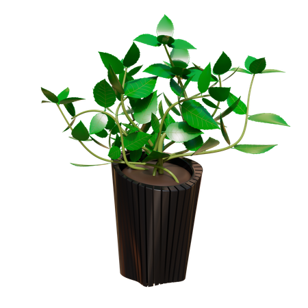 House Plant  3D Icon