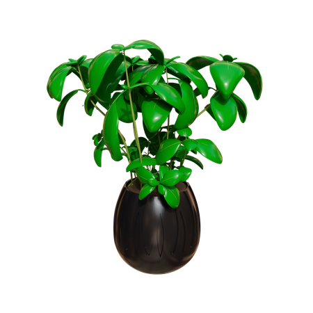 House Plant  3D Icon