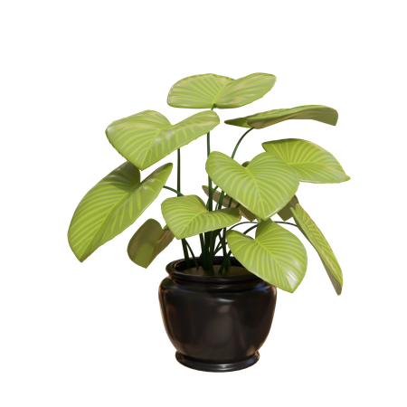 House Plant  3D Icon