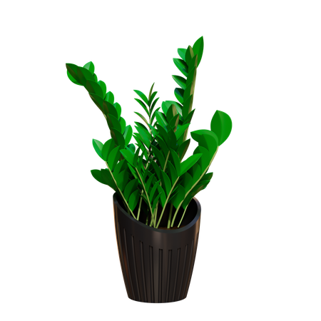 House Plant  3D Icon