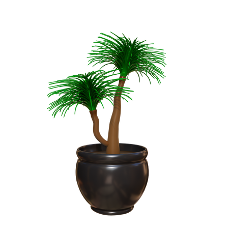 House Plant  3D Icon