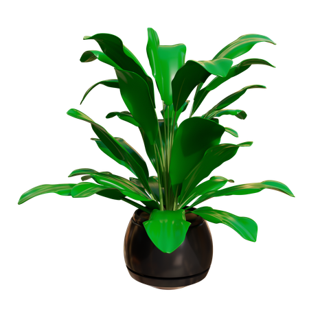 House Plant  3D Icon