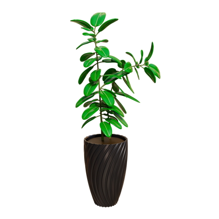 House Plant  3D Icon