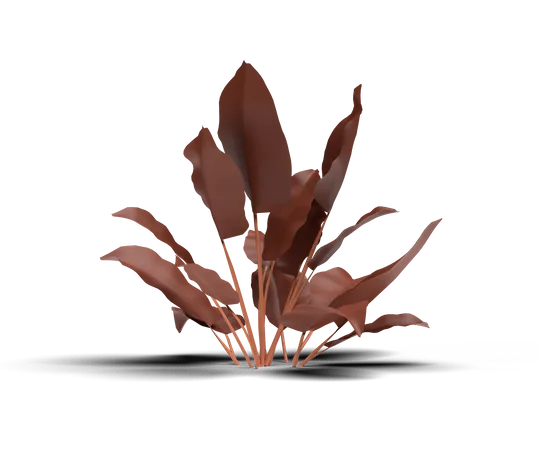 House Plant  3D Illustration