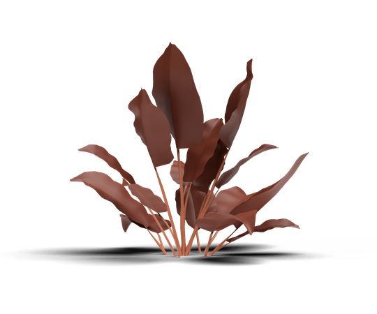 House Plant 3D Illustration