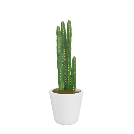 House Plant  3D Icon