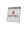 Https Security