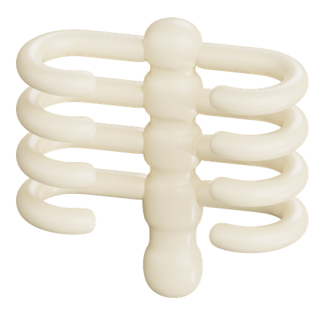Huesos del pecho humano  3D Icon