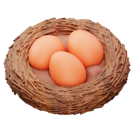Huevos en el nido  3D Icon