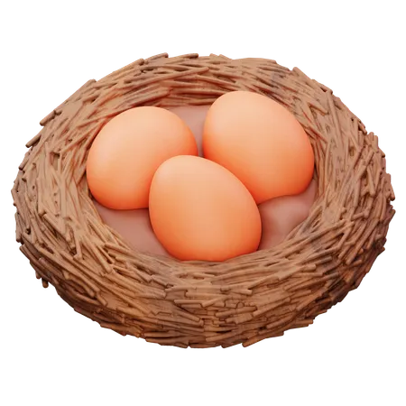 Huevos en el nido  3D Icon