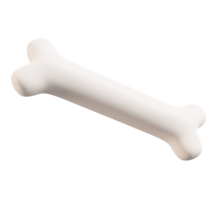 Human Bone  3D Icon