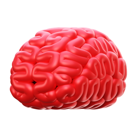 Human Brain  3D Icon