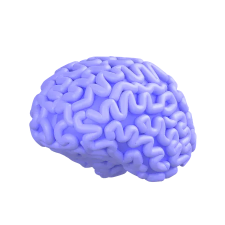 Human Brain  3D Icon