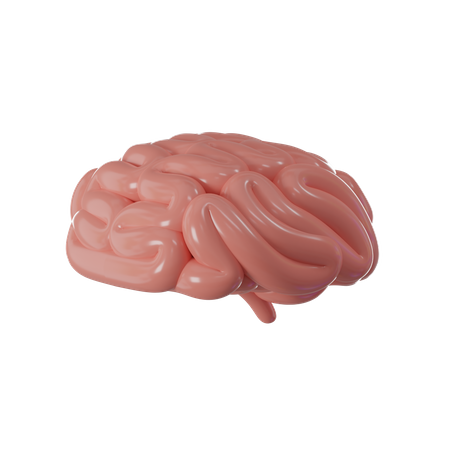 Human Brain  3D Icon