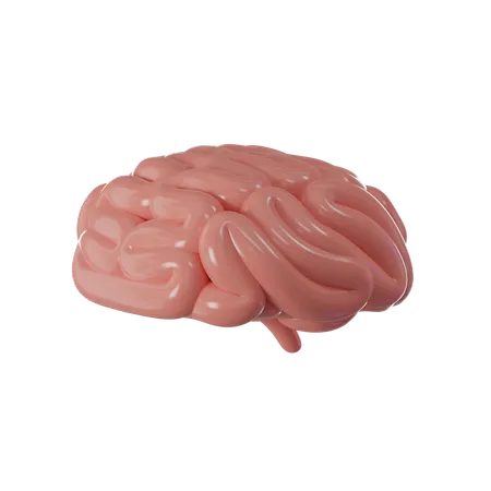 Human Brain  3D Icon