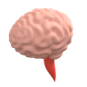 3d human mind emoji