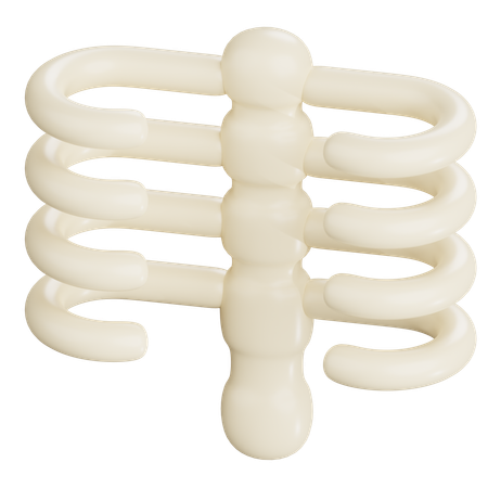 Human Chest Bones  3D Icon