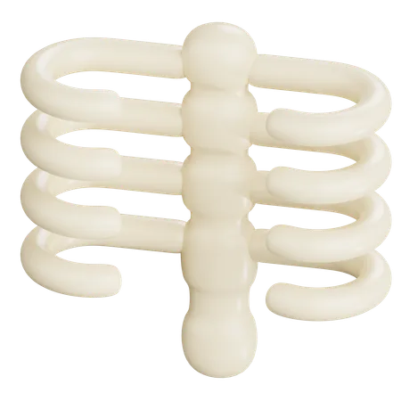 picture of human chest bones