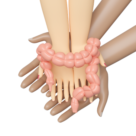 Human Colon  3D Icon