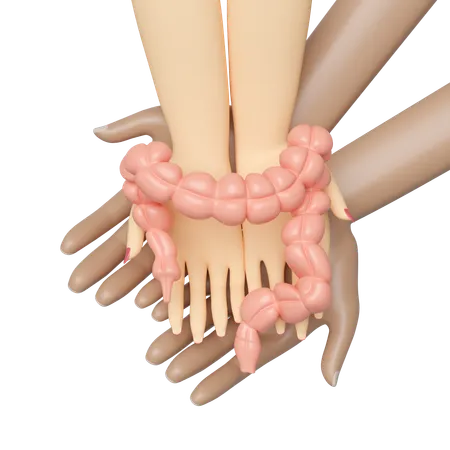 Human Colon  3D Icon